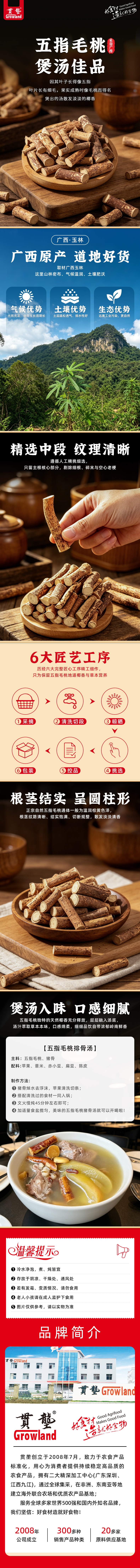 五指毛桃.jpg