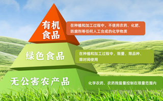 有机绿豆电商作品欣赏