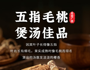 五指毛桃详情设计