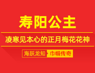 寿阳公主：落梅凝雅韵，凌寒见本心的正月梅花花神