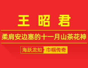 王昭君：山茶傲雪立，柔肩安边塞的十一月山茶花神
