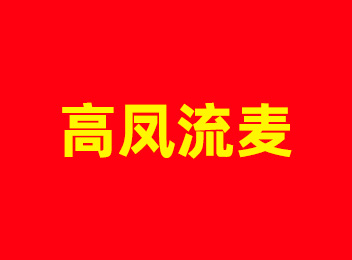 高凤流麦：高凤心系书卷，忘于风雨